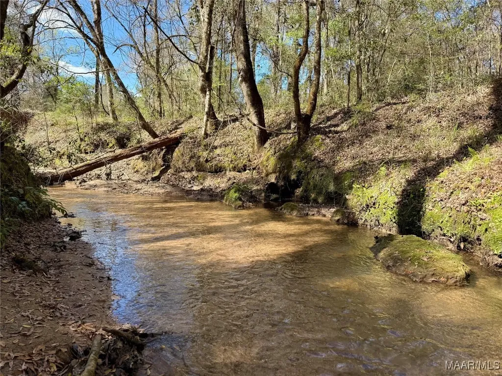 2326 Campbell Hill Road Chancellor AL 36316