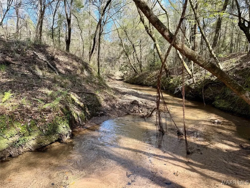 2326 Campbell Hill Road Chancellor AL 36316