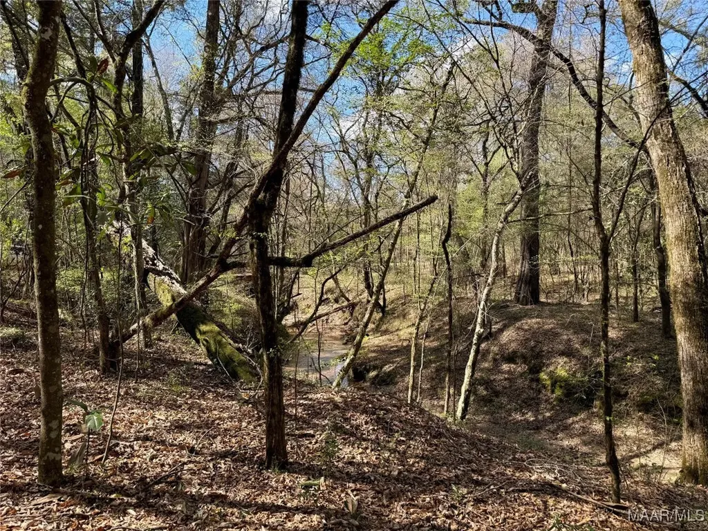 2326 Campbell Hill Road Chancellor AL 36316