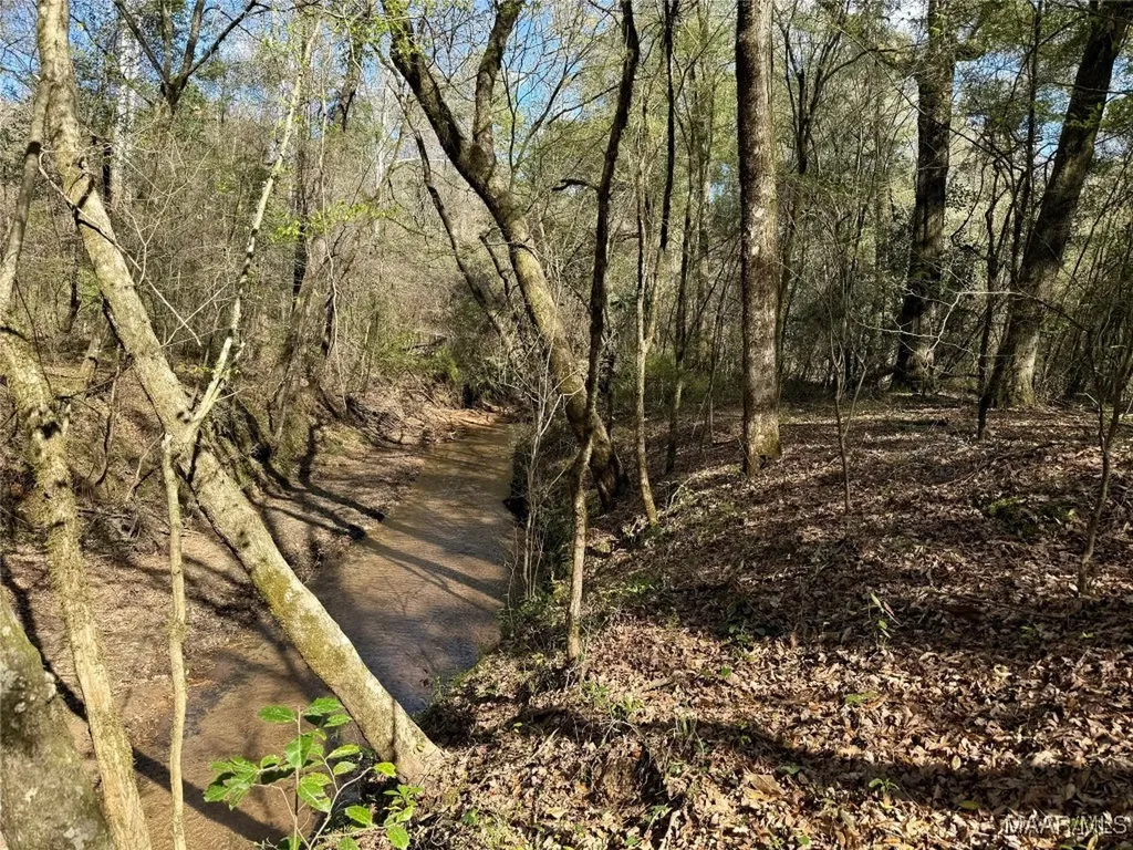 2326 Campbell Hill Road Chancellor AL 36316