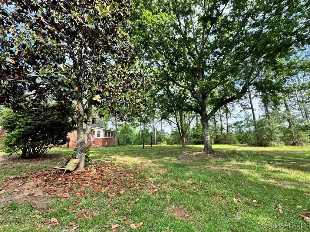 25440 Phillips Lane Red Level AL 36474