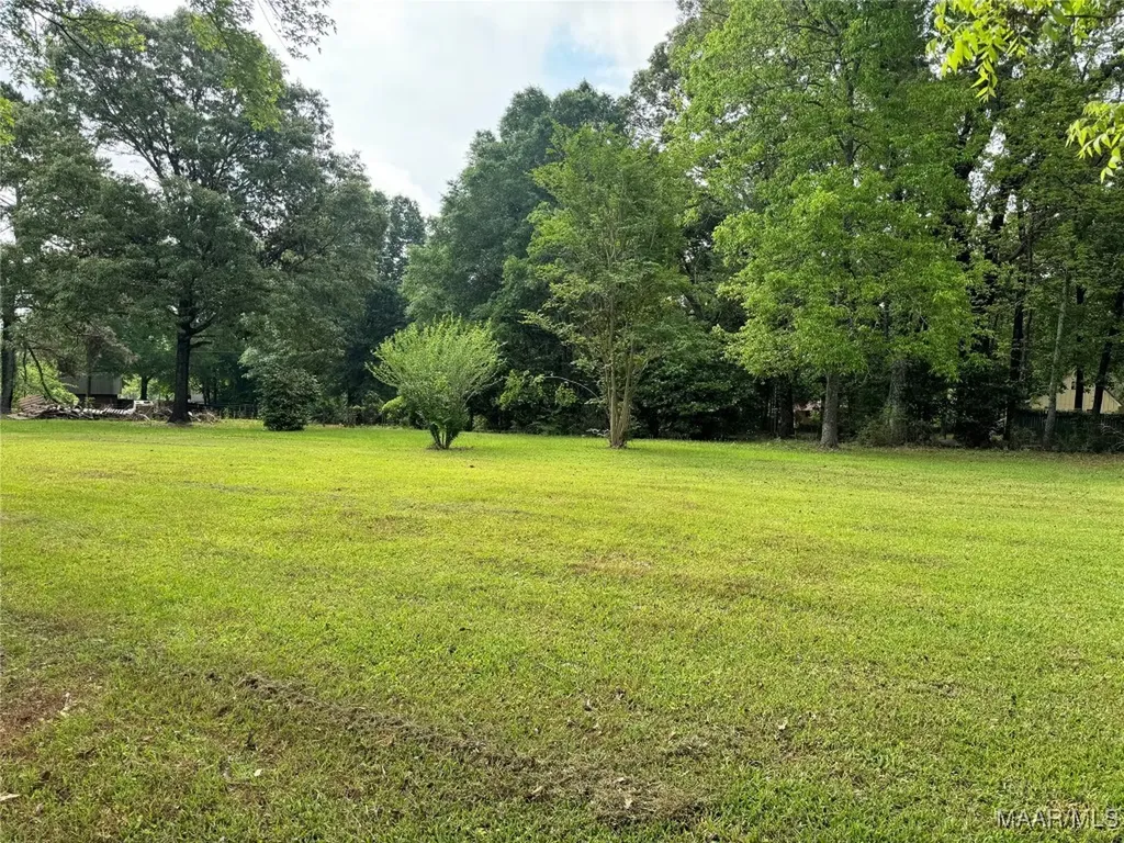 25440 Phillips Lane Red Level AL 36474