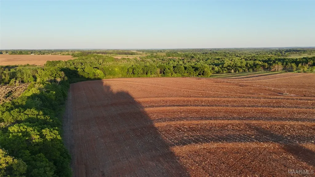 3800 County Road 708 Road Enterprise AL 36330