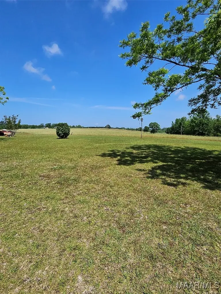 18694 Tt Clark Road Opp AL 36467