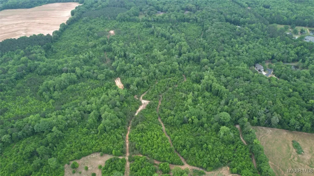 0 County Road 266 Enterprise AL 36330