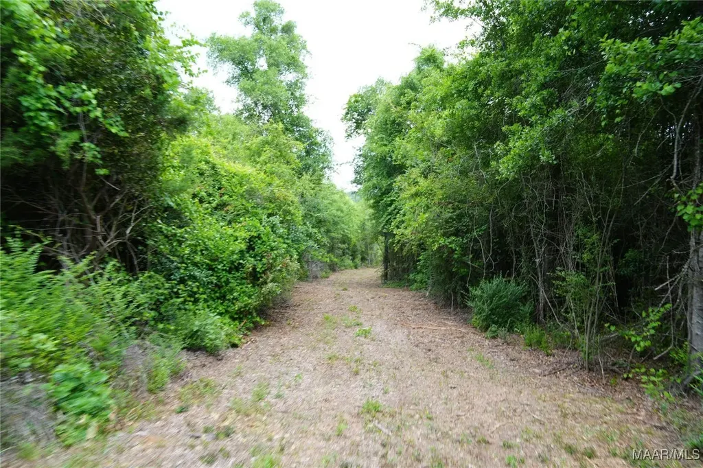 0 County Road 266 Enterprise AL 36330