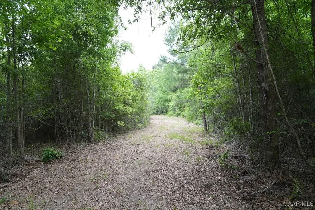 0 County Road 266 Enterprise AL 36330