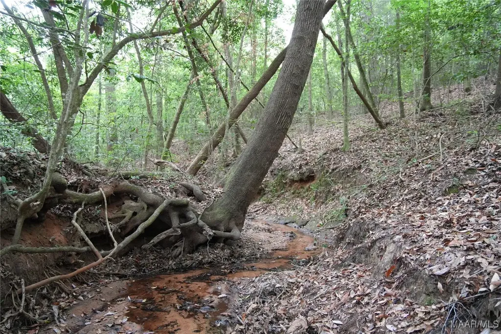 0 County Road 266 Enterprise AL 36330