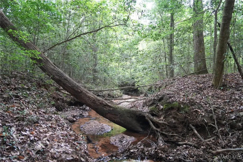 0 County Road 266 Enterprise AL 36330