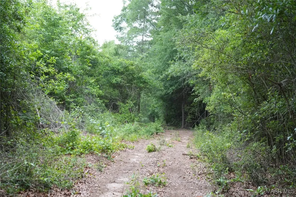 0 County Road 266 Enterprise AL 36330