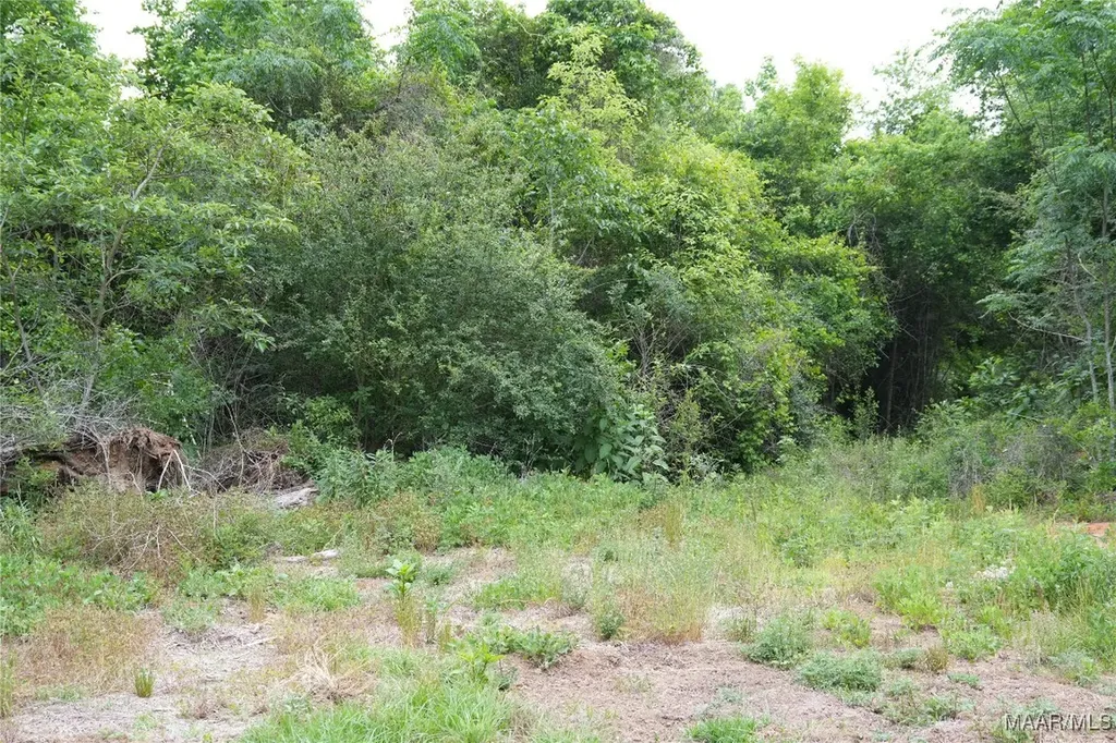 0 County Road 266 Enterprise AL 36330