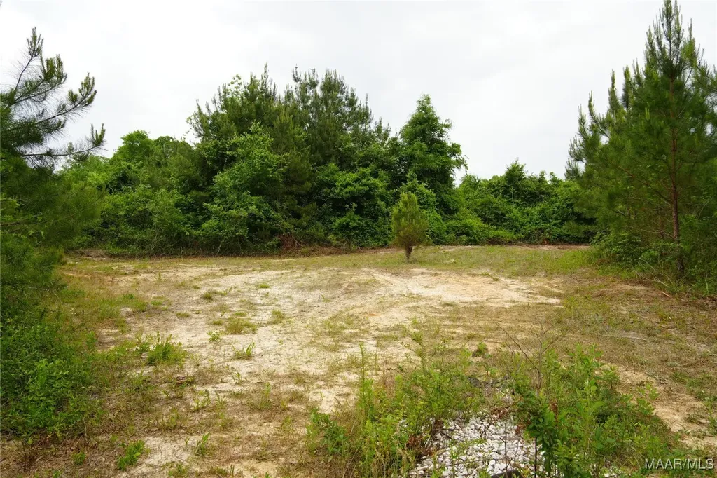 0 County Road 266 Enterprise AL 36330