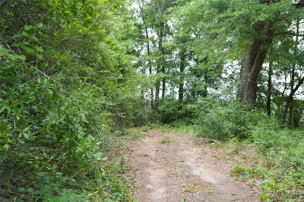 0 County Road 266 Enterprise AL 36330