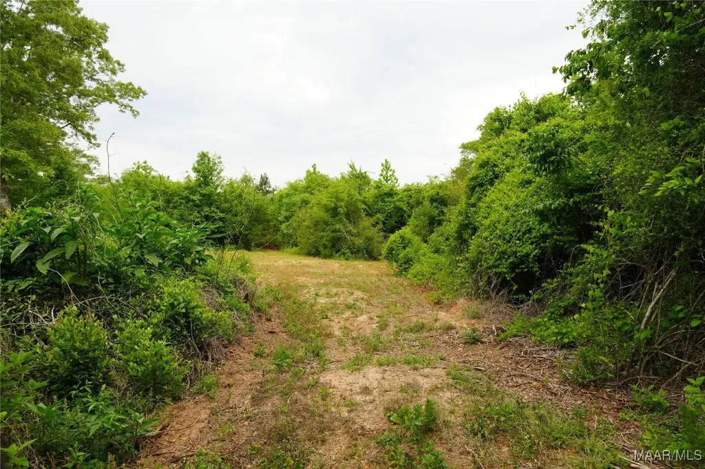 0 County Road 266 Enterprise AL 36330