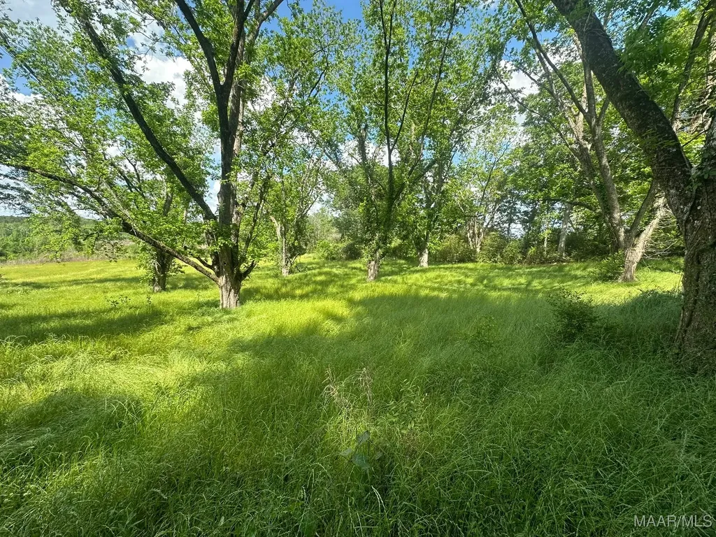 2085 County Road 3341 Brundidge AL 36010