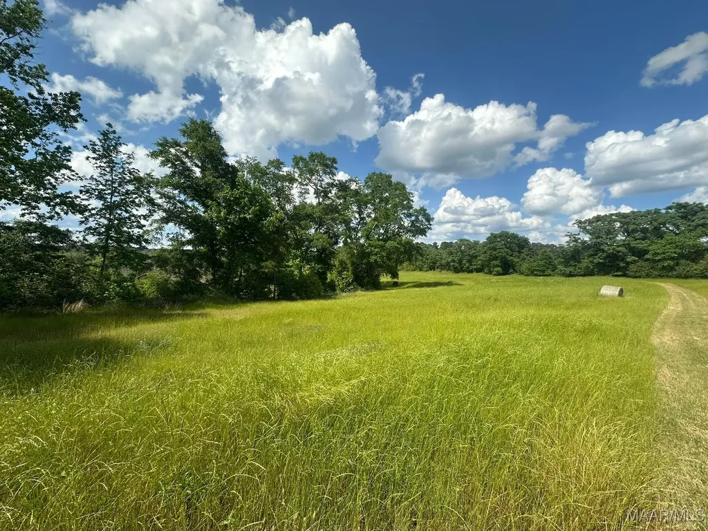 2085 County Road 3341 Brundidge AL 36010