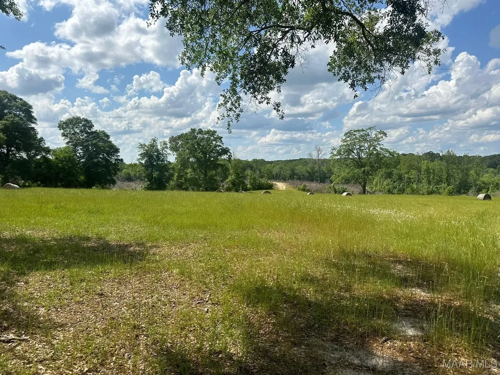 2085 County Road 3341 Brundidge AL 36010