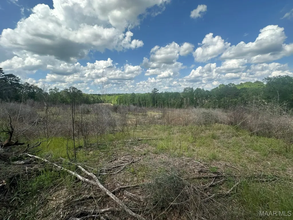 2085 County Road 3341 Brundidge AL 36010