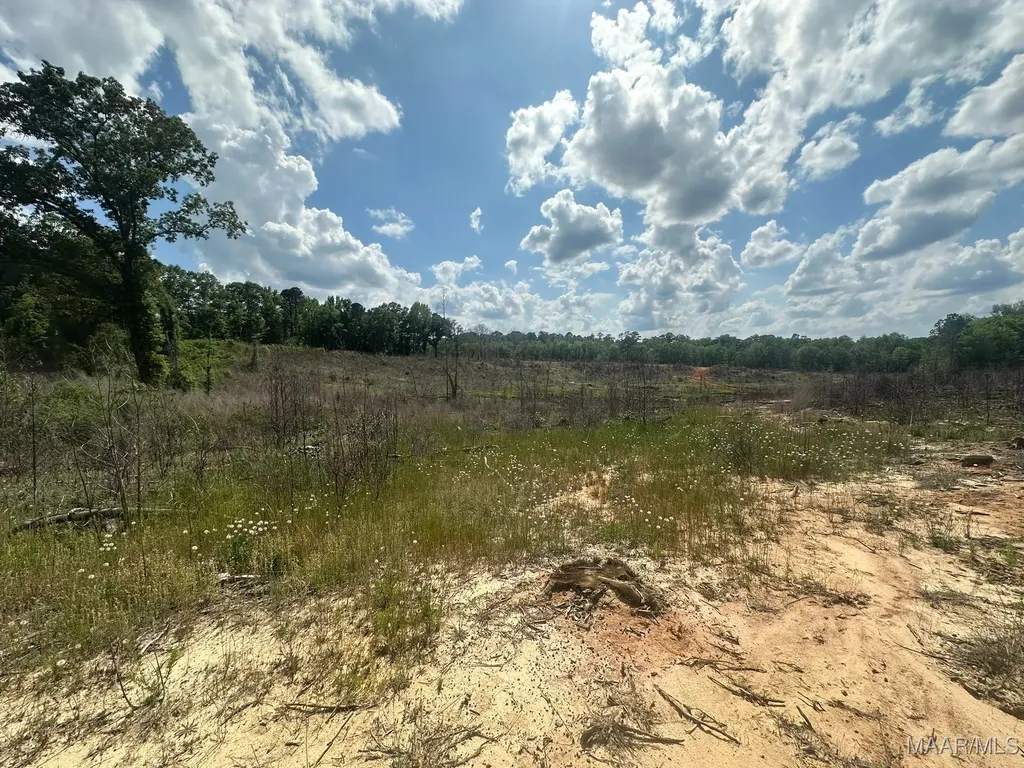 2085 County Road 3341 Brundidge AL 36010