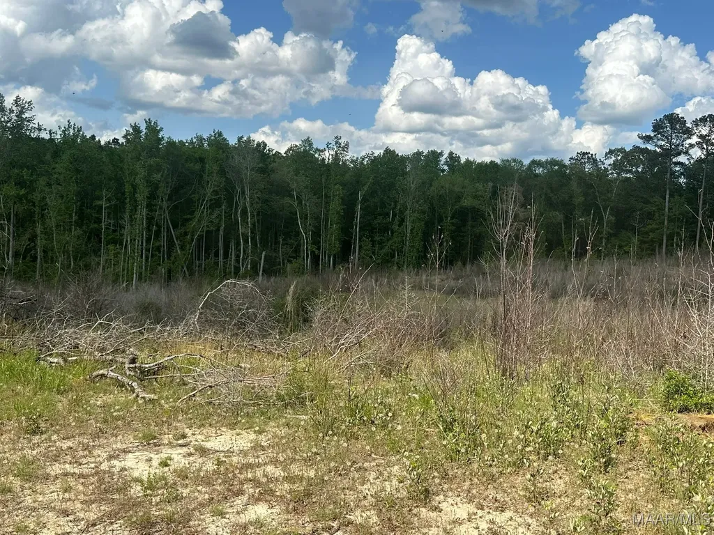 2085 County Road 3341 Brundidge AL 36010