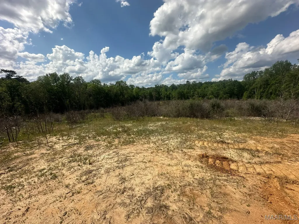 2085 County Road 3341 Brundidge AL 36010