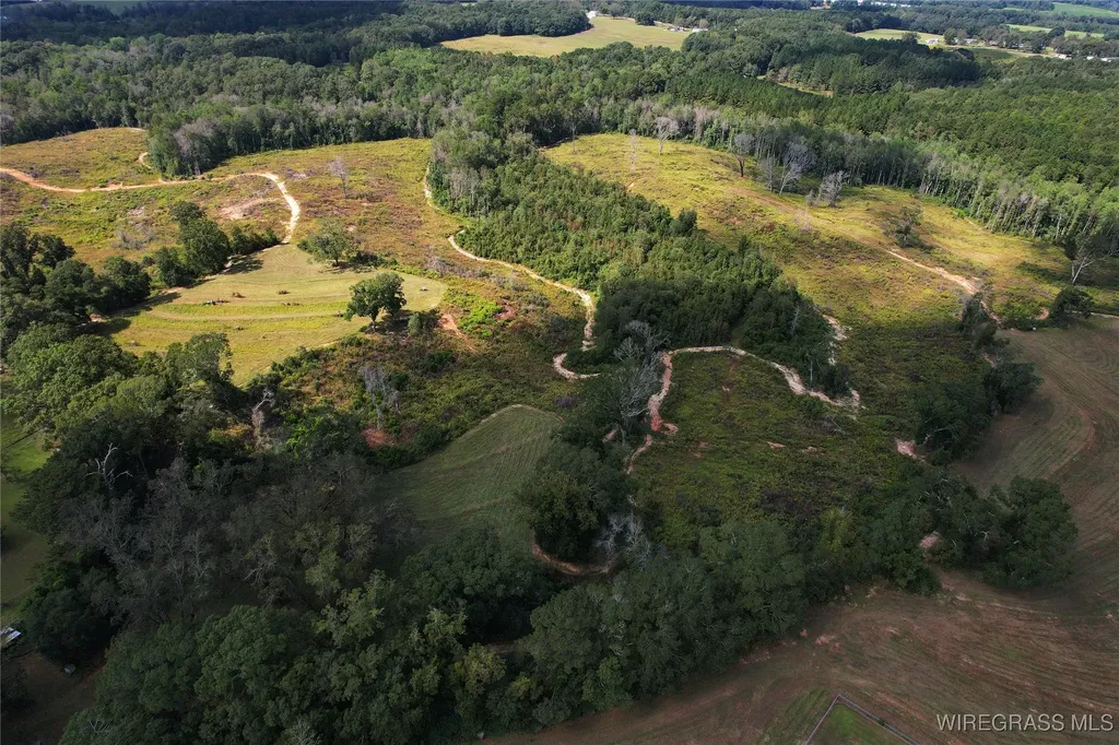 2085 County Road 3341 Brundidge AL 36010