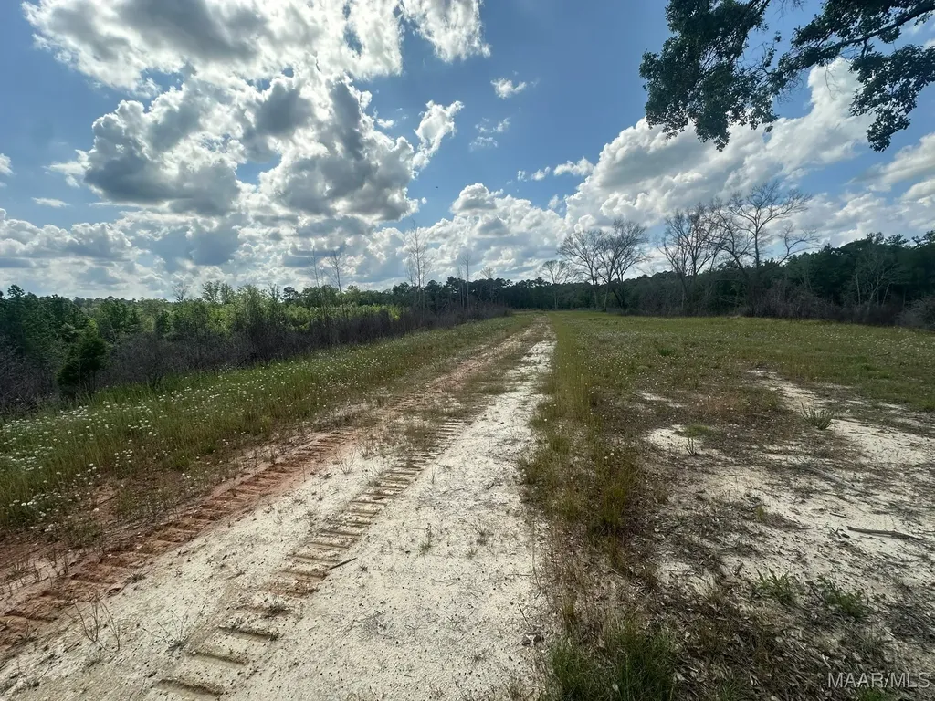 2085 County Road 3341 Brundidge AL 36010