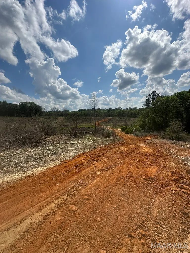 2085 County Road 3341 Brundidge AL 36010