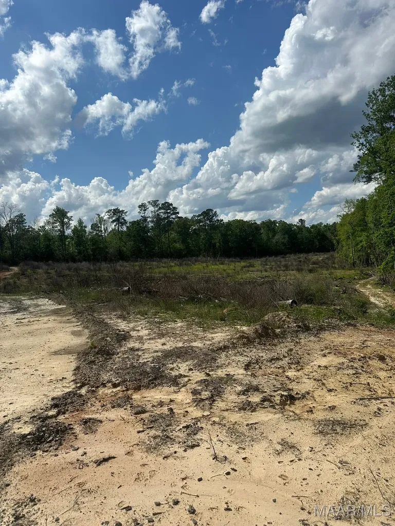 2085 County Road 3341 Brundidge AL 36010