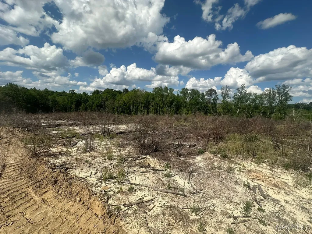 2085 County Road 3341 Brundidge AL 36010