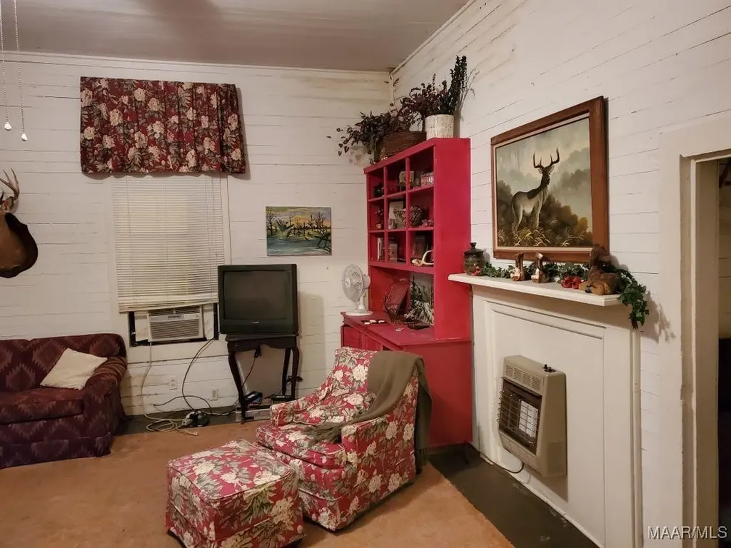 2085 County Road 3341 Brundidge AL 36010