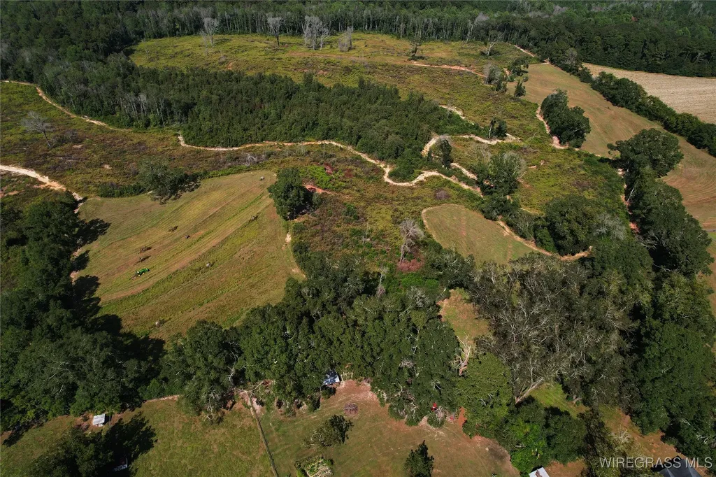 2085 County Road 3341 Brundidge AL 36010