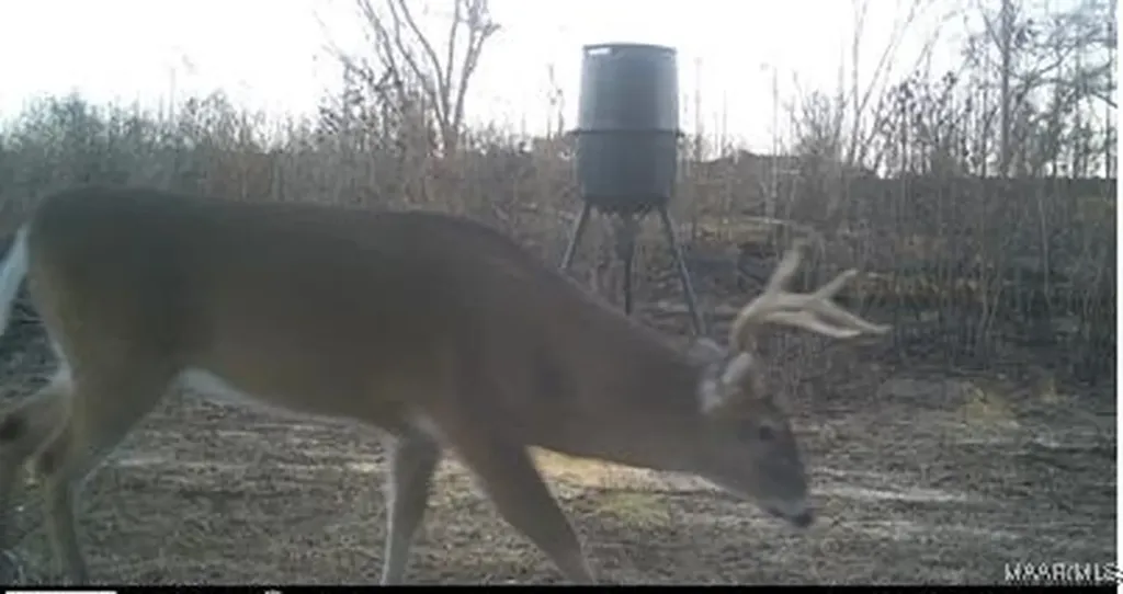 2085 County Road 3341 Brundidge AL 36010