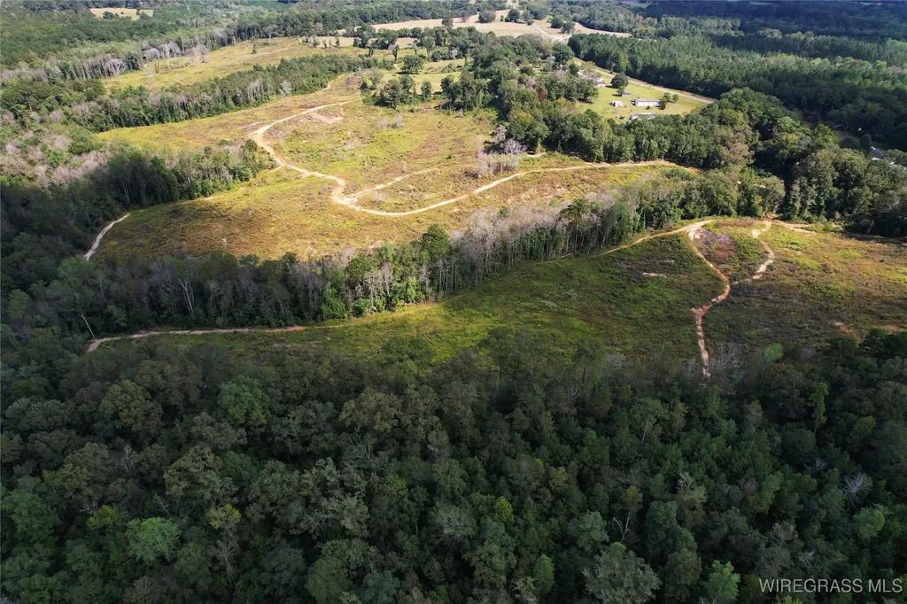 2085 County Road 3341 Brundidge AL 36010