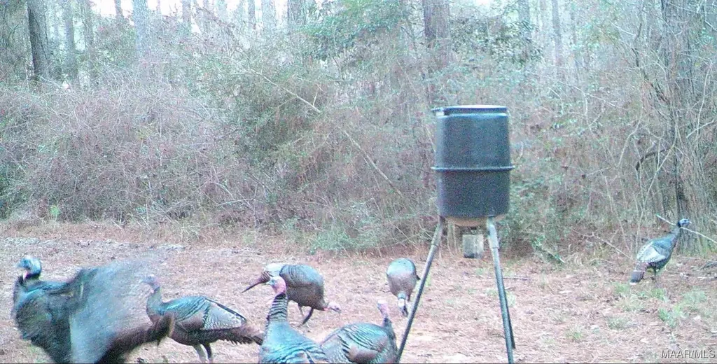 2085 County Road 3341 Brundidge AL 36010