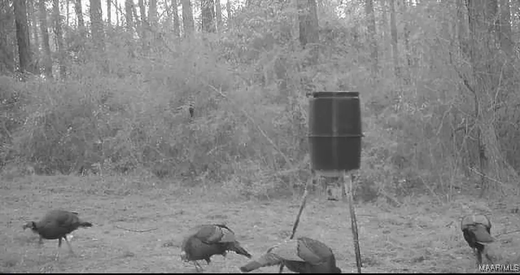 2085 County Road 3341 Brundidge AL 36010