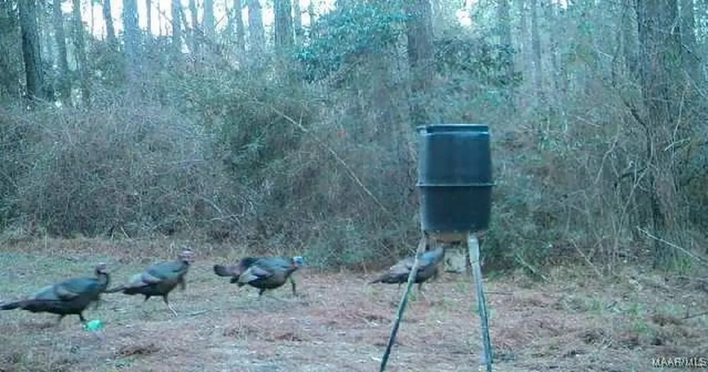 2085 County Road 3341 Brundidge AL 36010