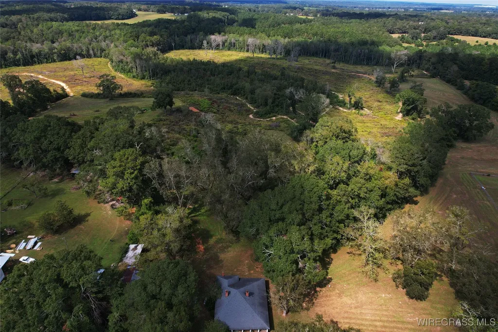 2085 County Road 3341 Brundidge AL 36010