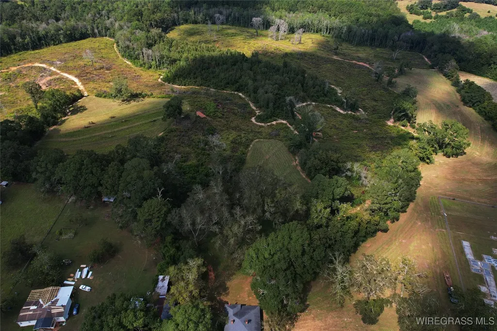 2085 County Road 3341 Brundidge AL 36010