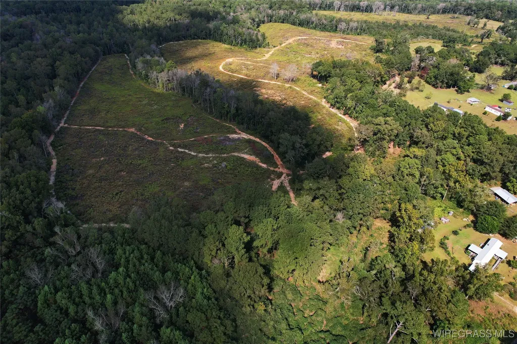 2085 County Road 3341 Brundidge AL 36010