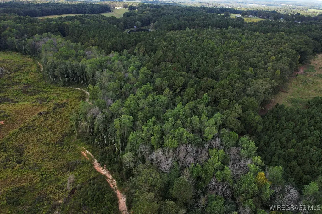 2085 County Road 3341 Brundidge AL 36010