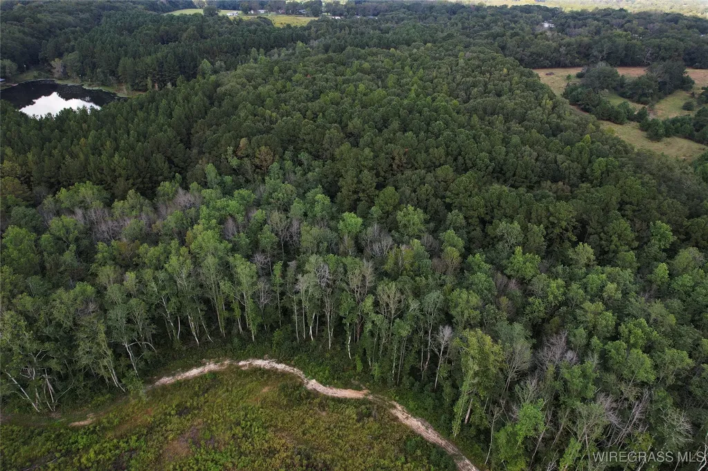 2085 County Road 3341 Brundidge AL 36010