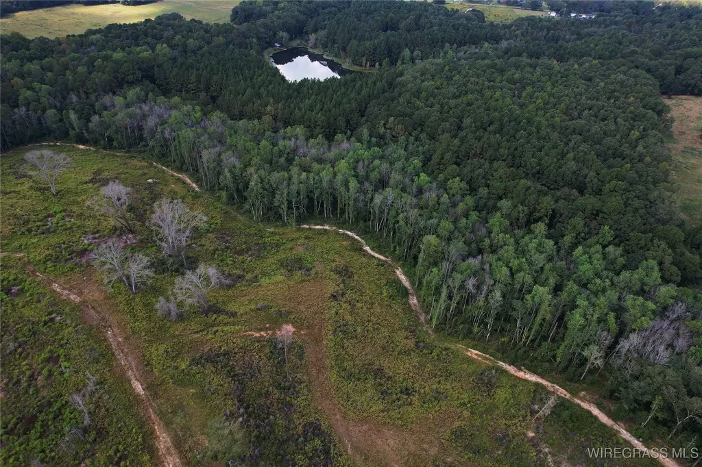 2085 County Road 3341 Brundidge AL 36010