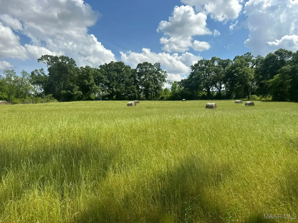 2085 County Road 3341 Brundidge AL 36010