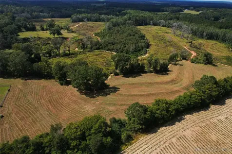 2085 County Road 3341 Brundidge AL 36010