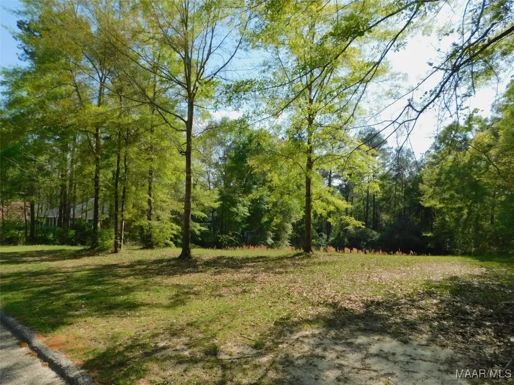 0 Christy Lane Andalusia AL 36420