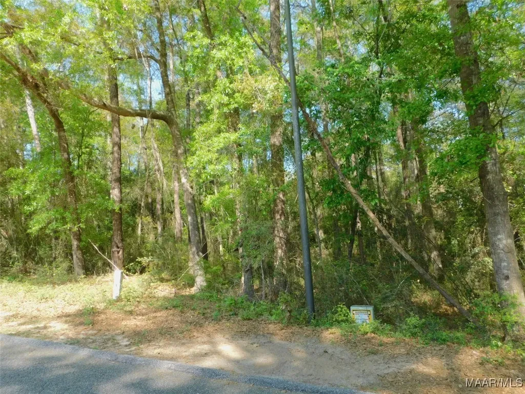 0 Christy Lane Andalusia AL 36420