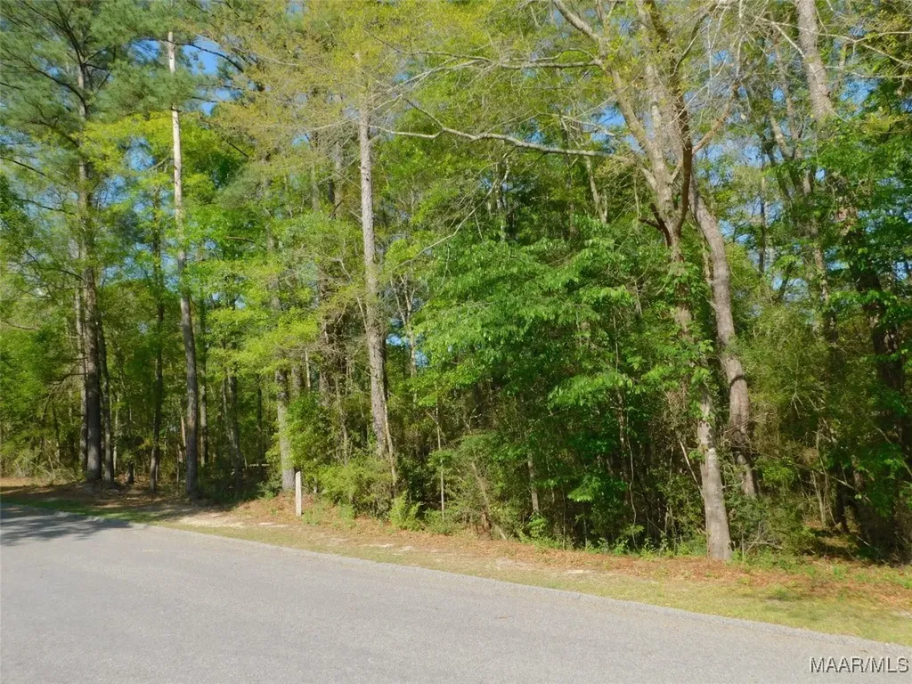 0 Christy Lane Andalusia AL 36420