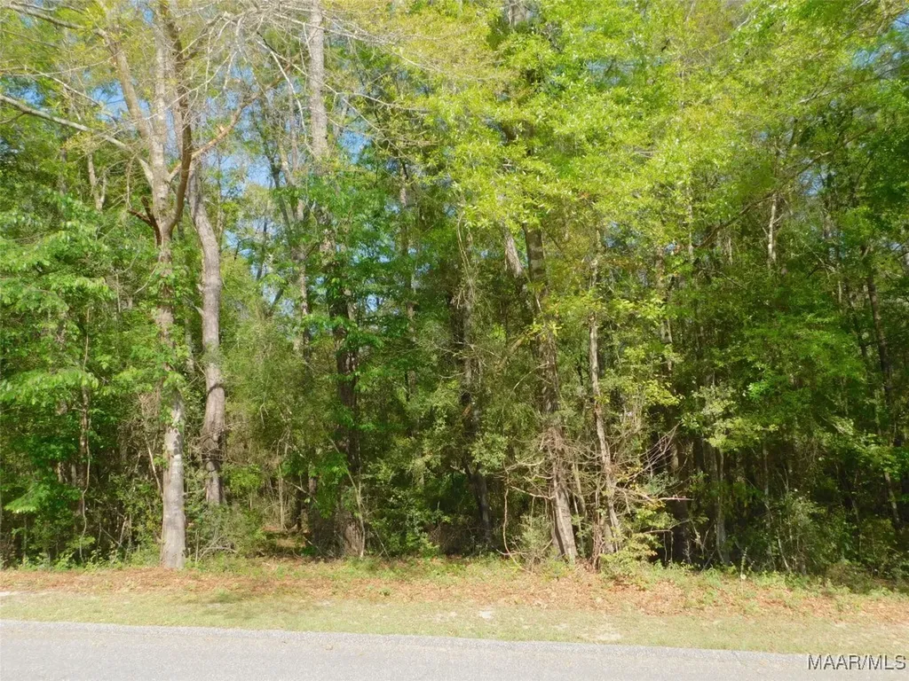 0 Christy Lane Andalusia AL 36420