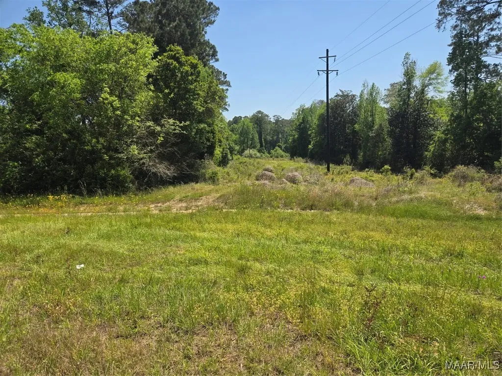 0 Highway 203 Elba AL 36323